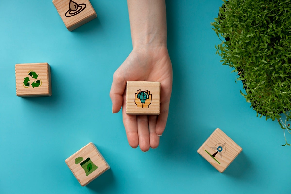 5 princípios do Direito Ambiental