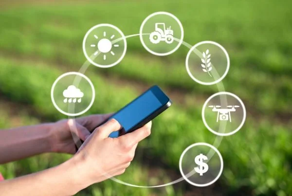 Monitoramento Ambiental: entenda como é feito. 1 Entenda a importância do monitoramento ambiental